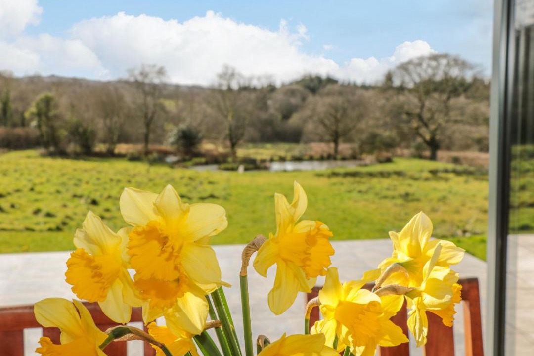 Photo of Others in Totnes