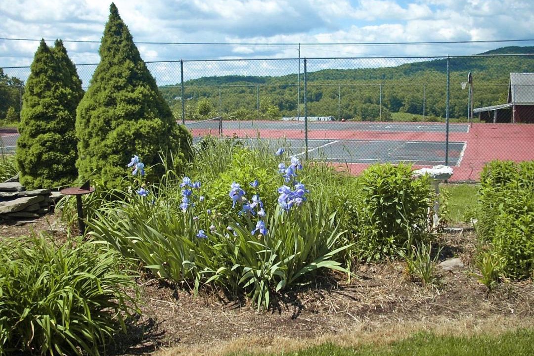 Photo of Others in Union Dale