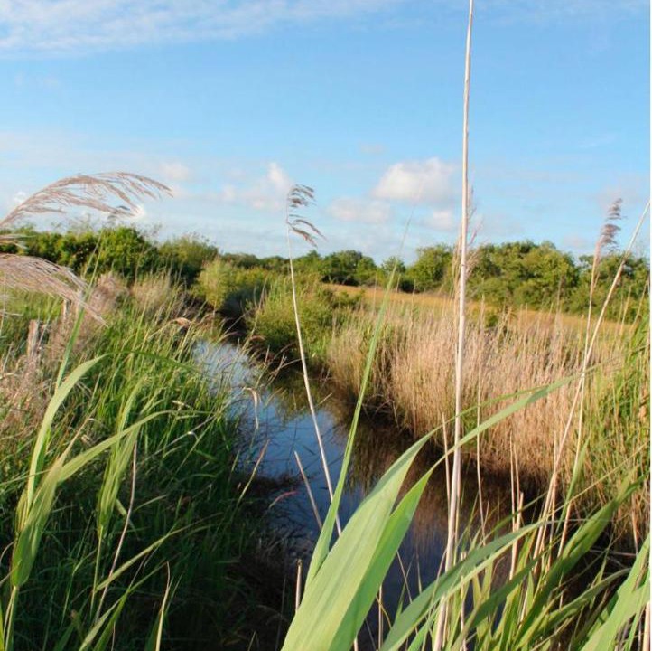 Photo of Outdoor in Grayan-Et-L'Hopital
