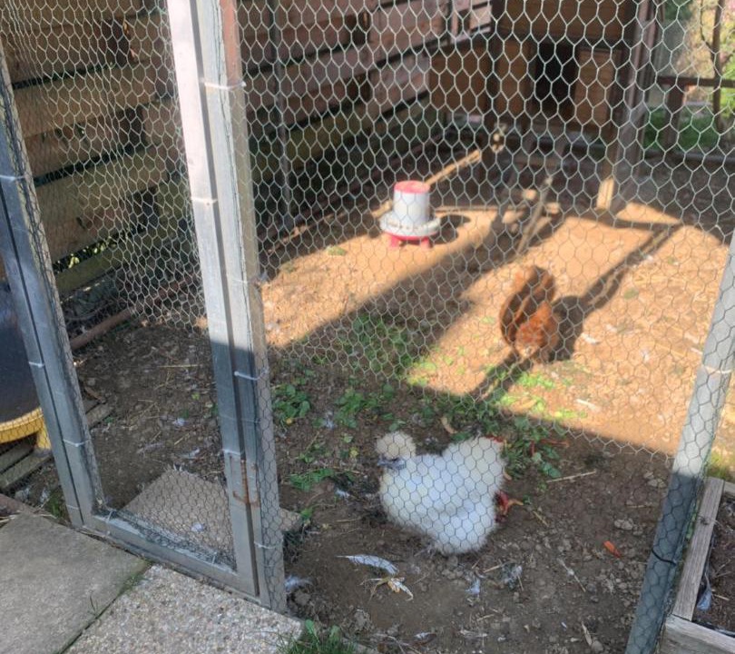 Photo of Others in Rochetaillee-sur-Saone