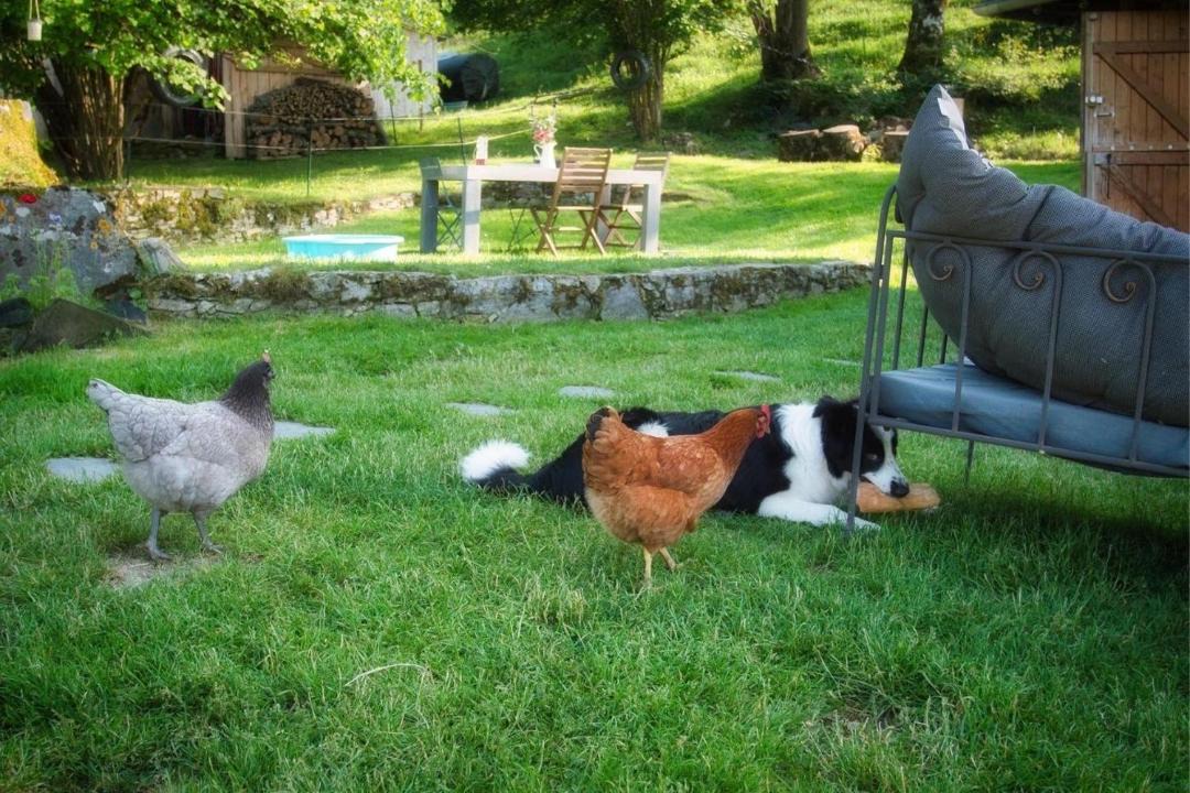 Photo of Others in Segus