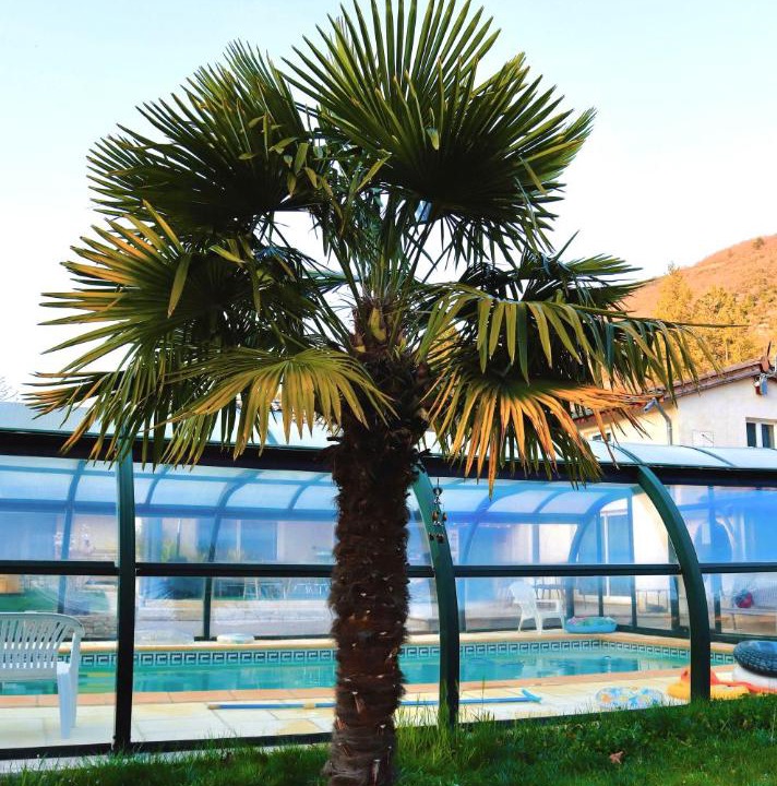 Photo of Others in Saillans