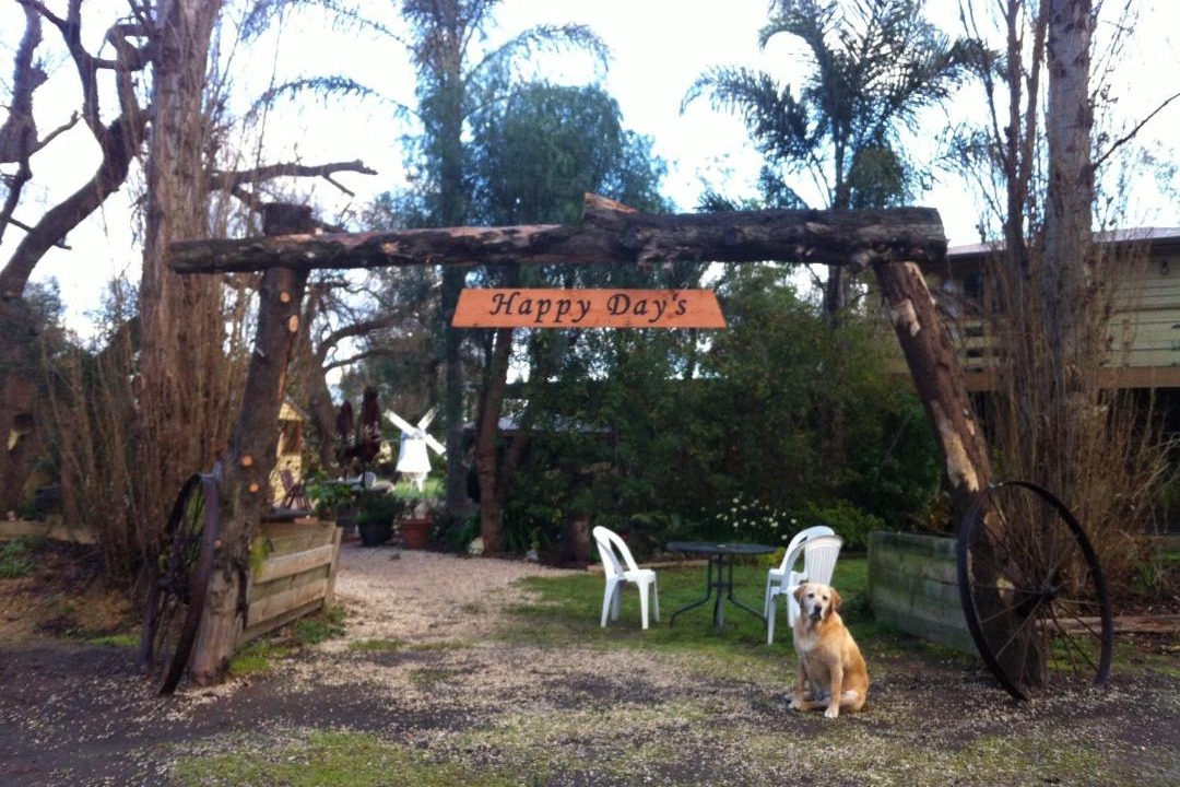 Photo of Others in Tinamba