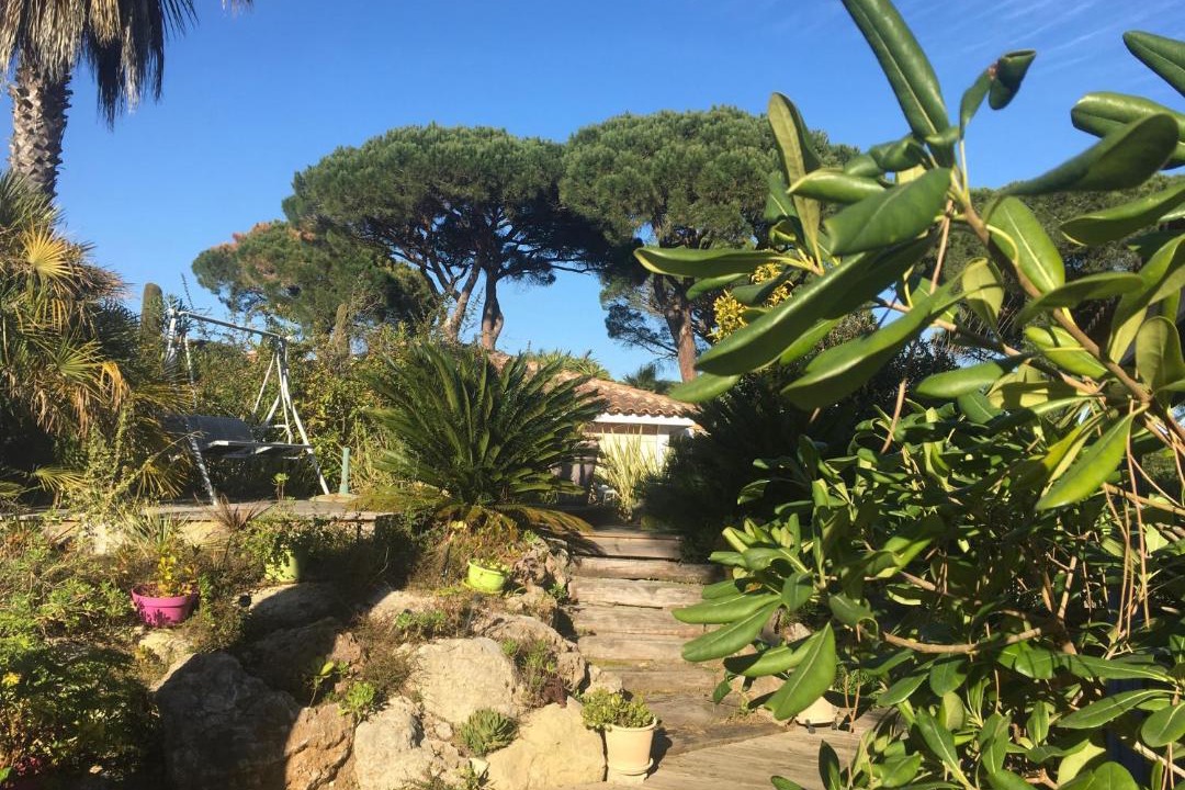 Photo of Outdoor in Gassin