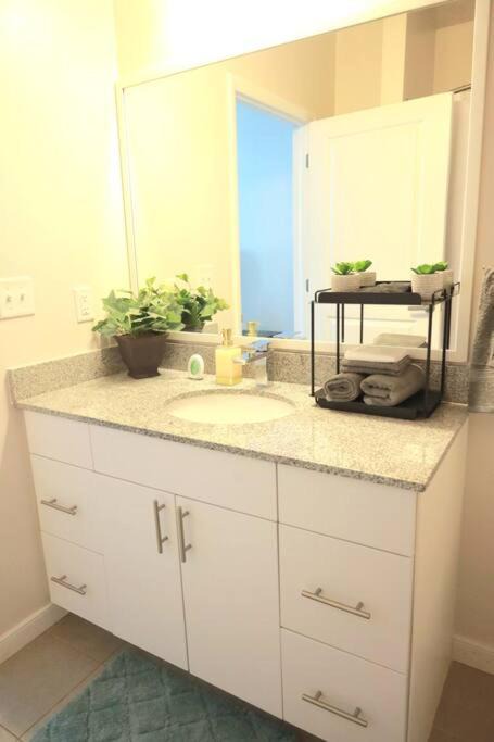 Photo of Others in Downtown Baltimore