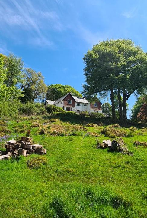 Photo of Others in Dartmoor Forest