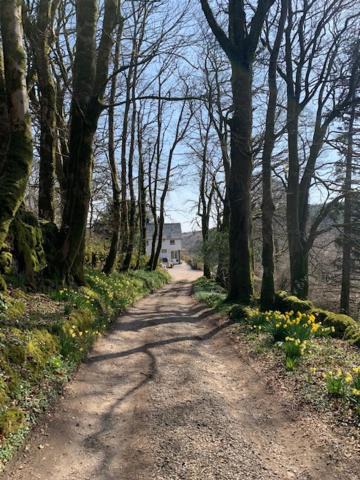Photo of Others in Dartmoor Forest