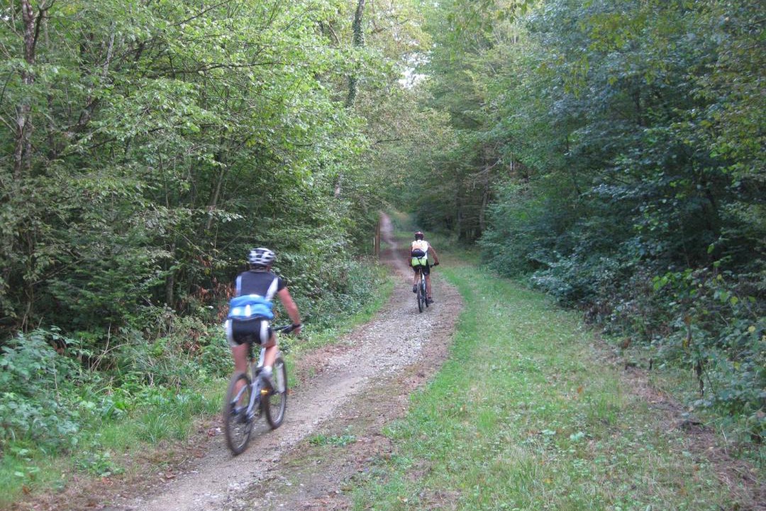 Photo of Others in Bulgneville