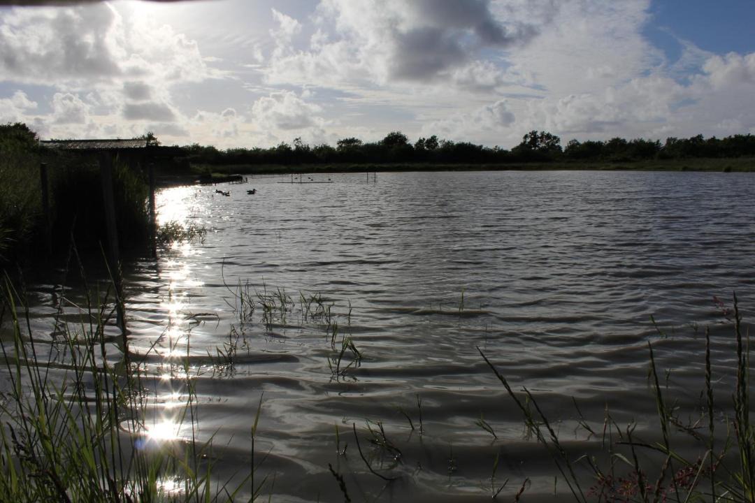 Photo of Buildings in Grayan-Et-L'Hopital