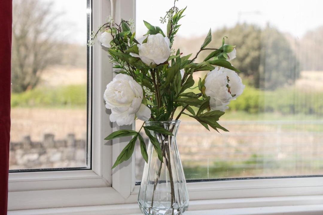 Photo of Others in Dyserth