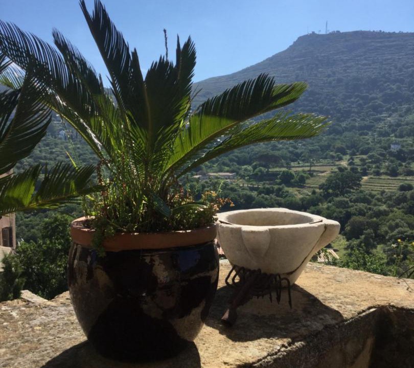 Photo of Others in Pigna