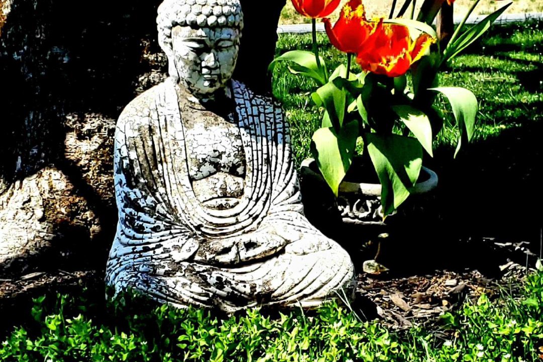 Photo of Others in Limekiln