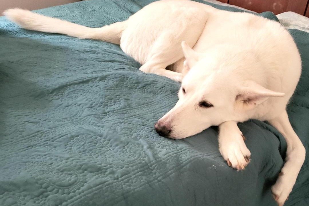 Photo of Others in Limekiln