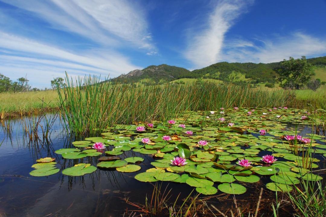 Photo of Others in Gloucester