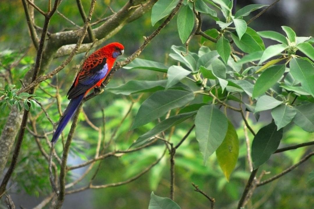 Photo of Others in Gloucester