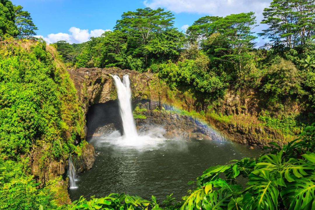 Photo of Others in Kapoho