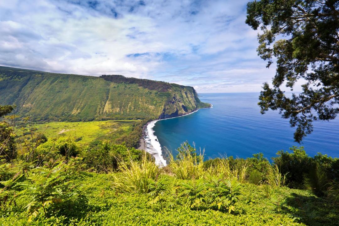 Photo of Others in Kapoho