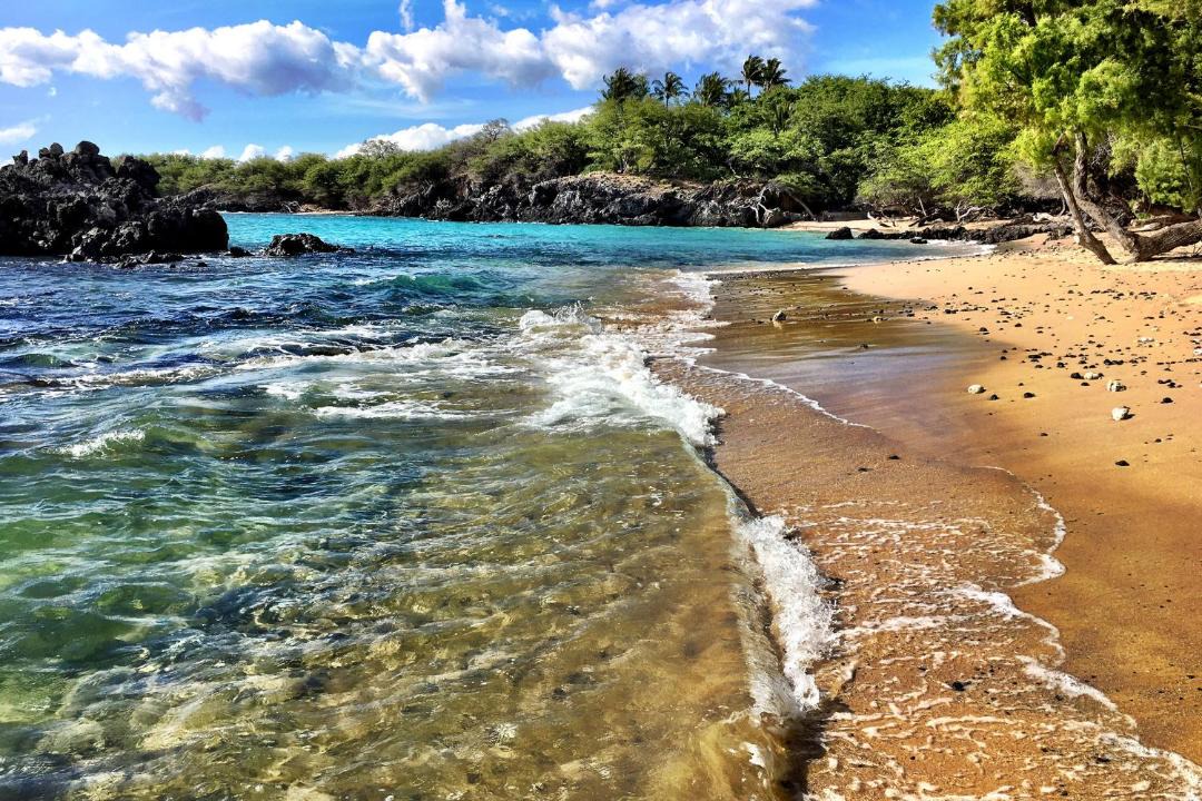 Photo of Others in Kapoho