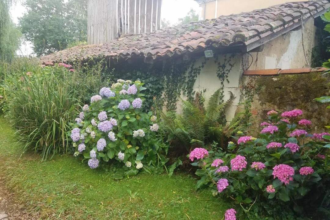 Photo of Others in Buanes