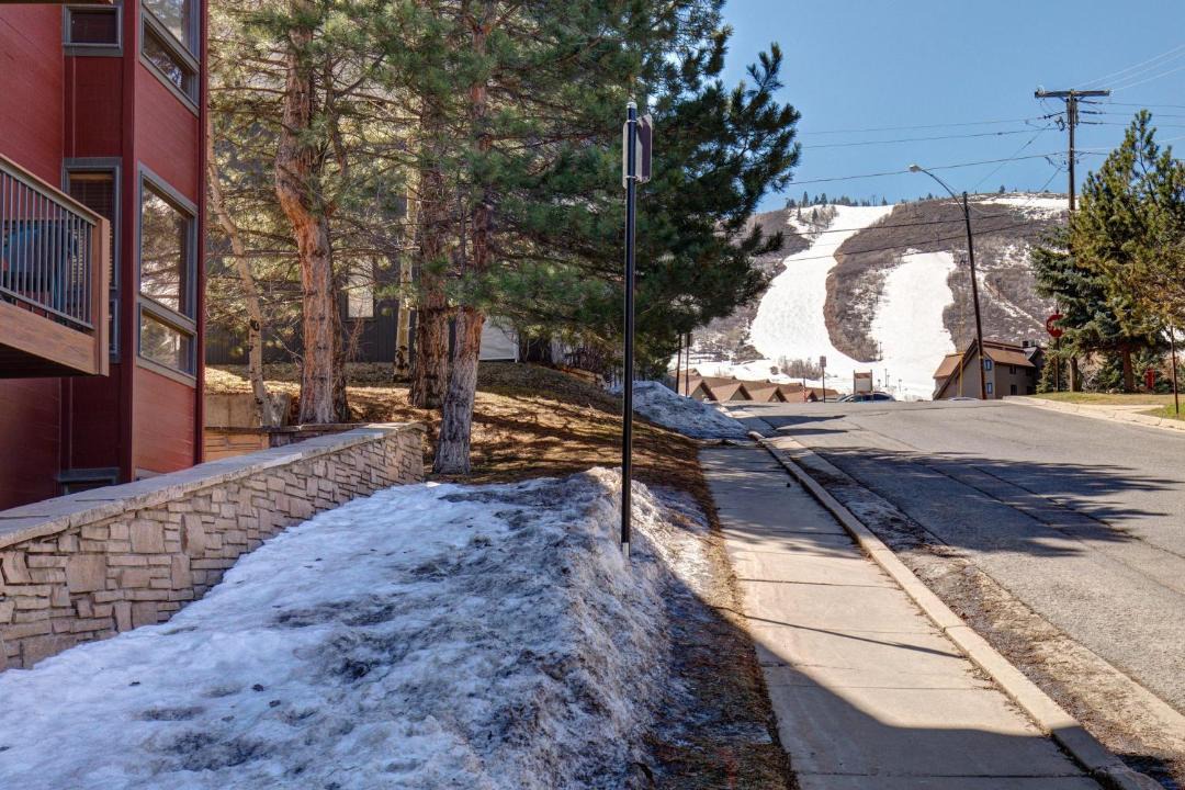 Photo of Others in North Park City