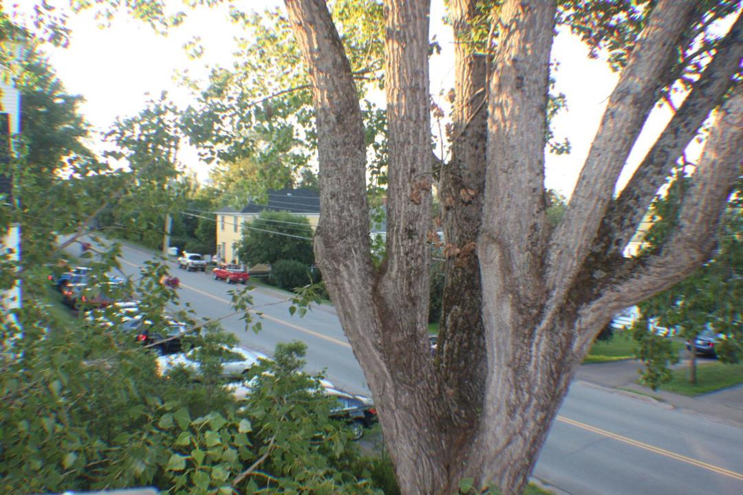 Photo of Others in Tatamagouche