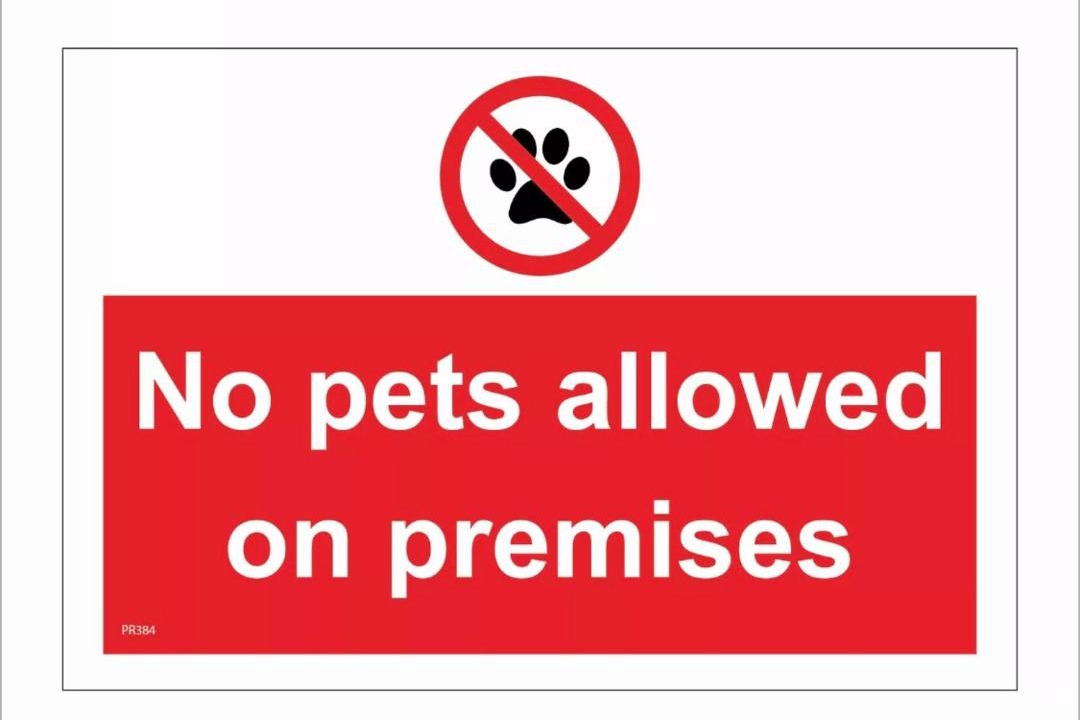 Photo of Others in Berwick-upon-Tweed