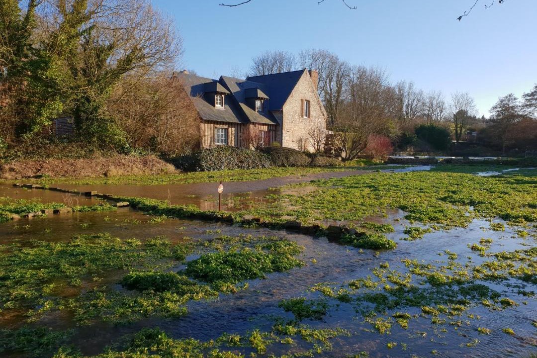 Photo of Others in Veules-les-Roses