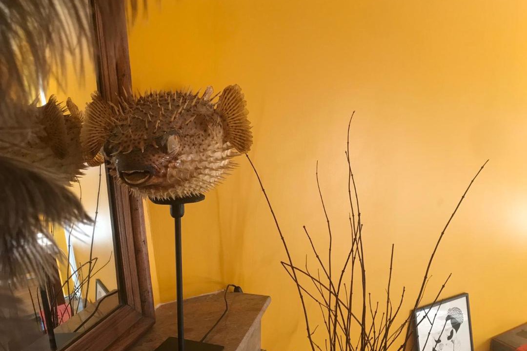 Photo of Others in Piegut-Pluviers