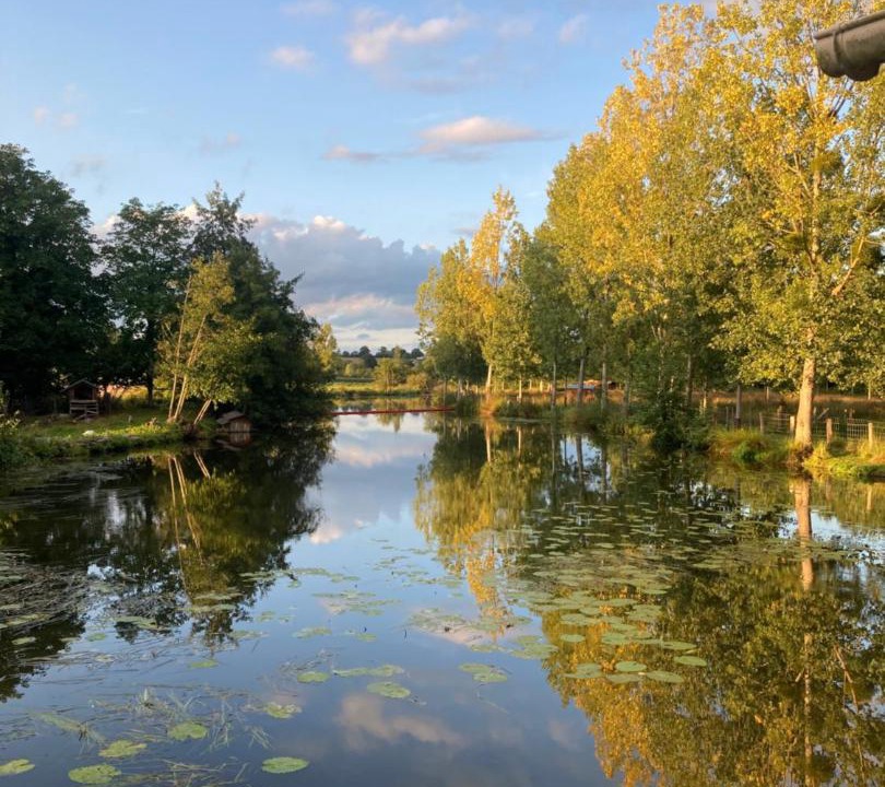 Photo of Others in Saint-Aubin-des-Landes