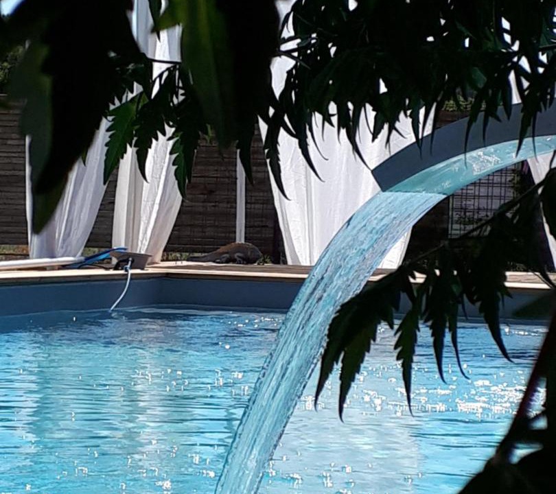 Photo of Outdoor in Saint-Saturnin-les-Avignon