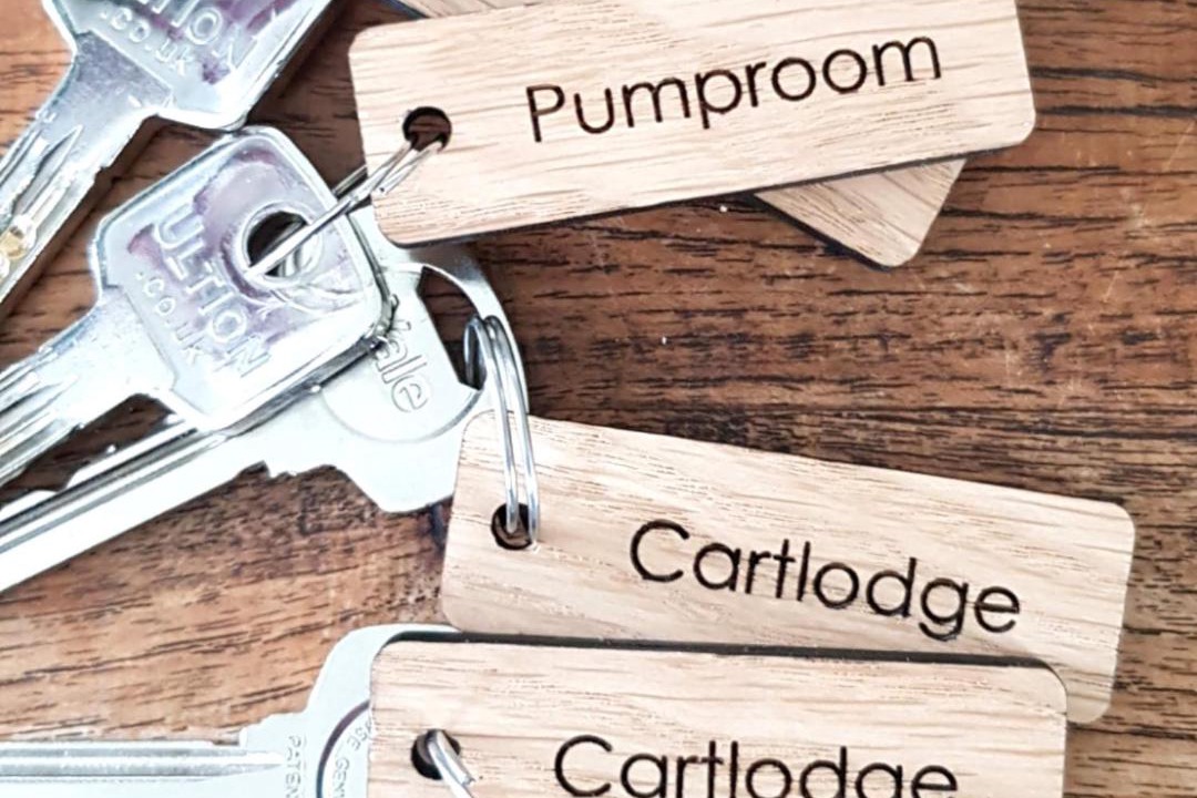 Photo of Others in Birch