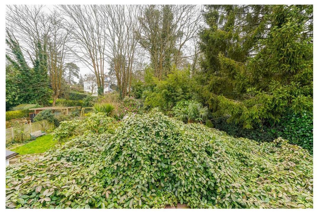 Photo of Others in Haywards Heath