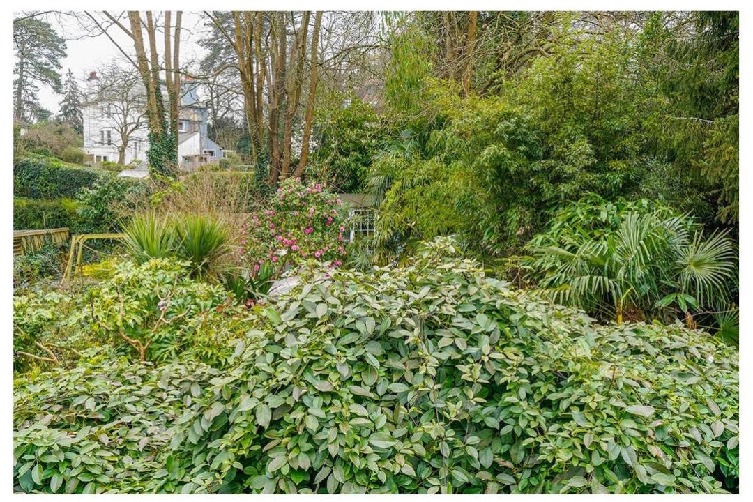 Photo of Others in Haywards Heath