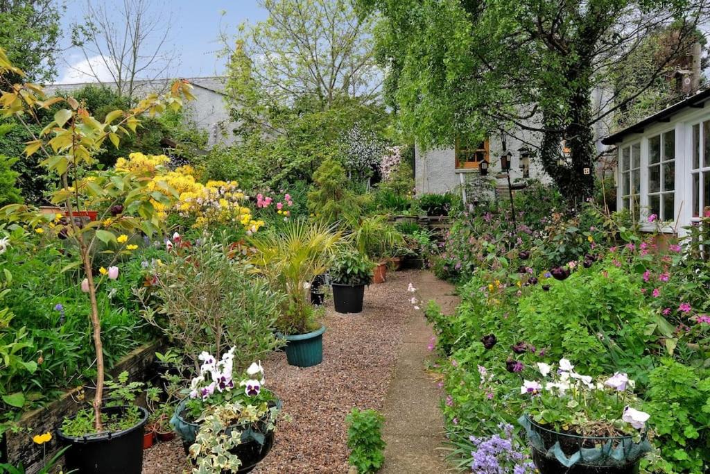 Photo of Others in Banff