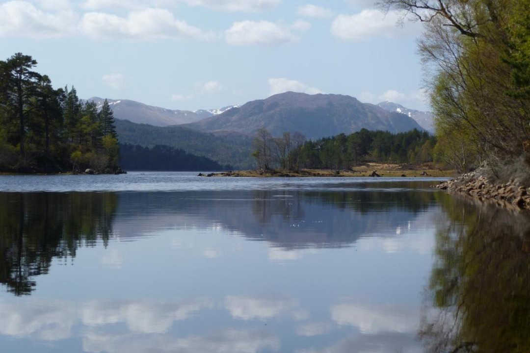 Photo of Others in Cannich