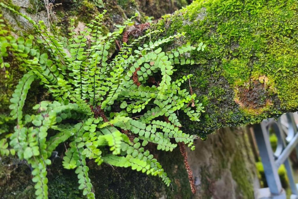 Photo of Others in Treignac