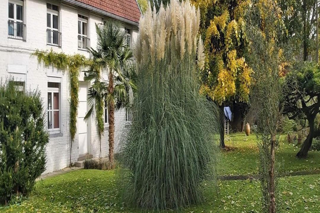 Photo of Others in Wargnies-le-Grand