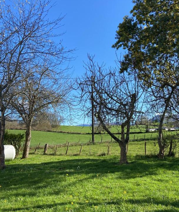 Photo of Others in Ascarat