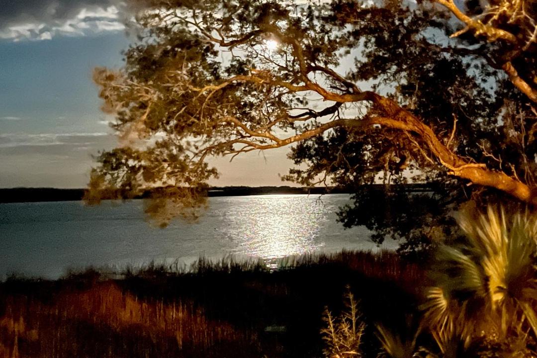 Photo of Others in St. Simons Island