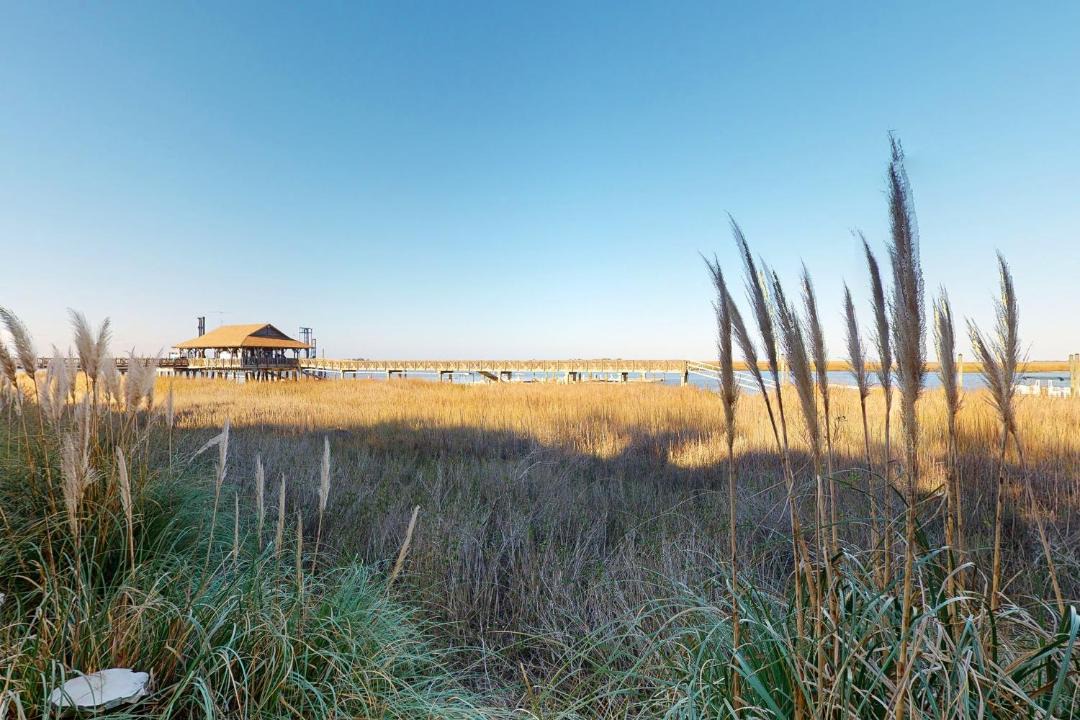Photo of Outdoor in St. Simons Island