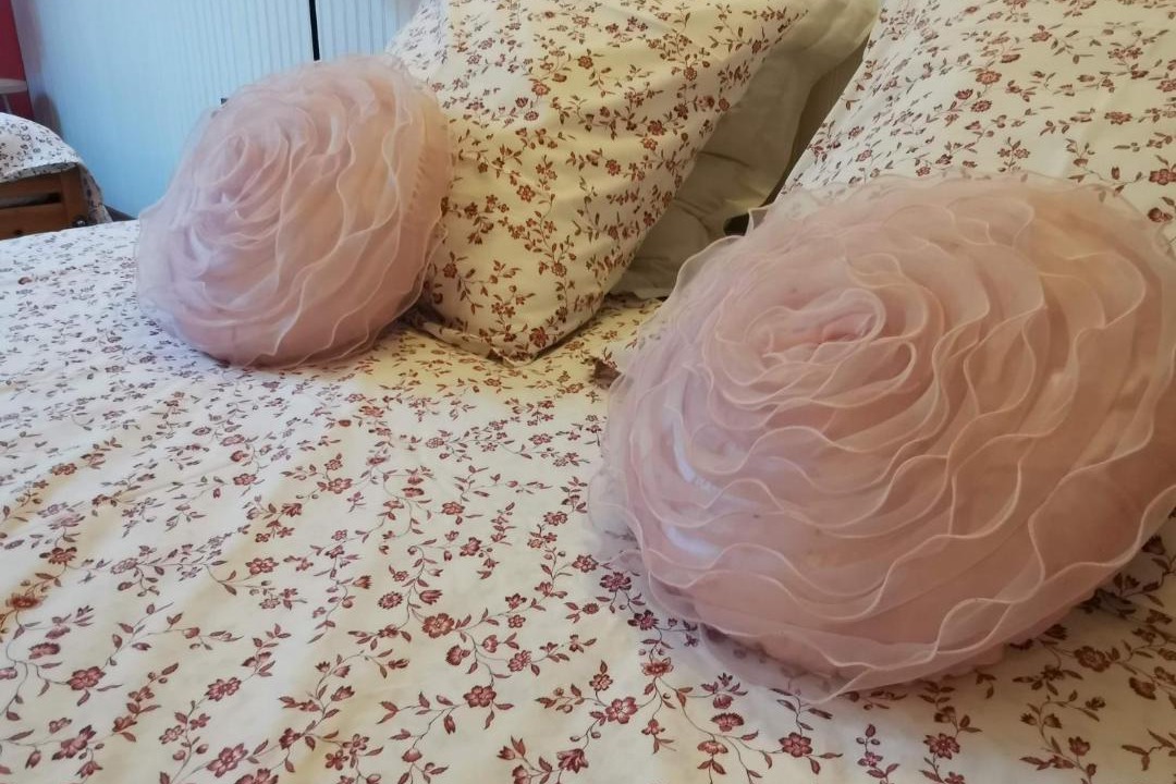 Photo of Others in Arry