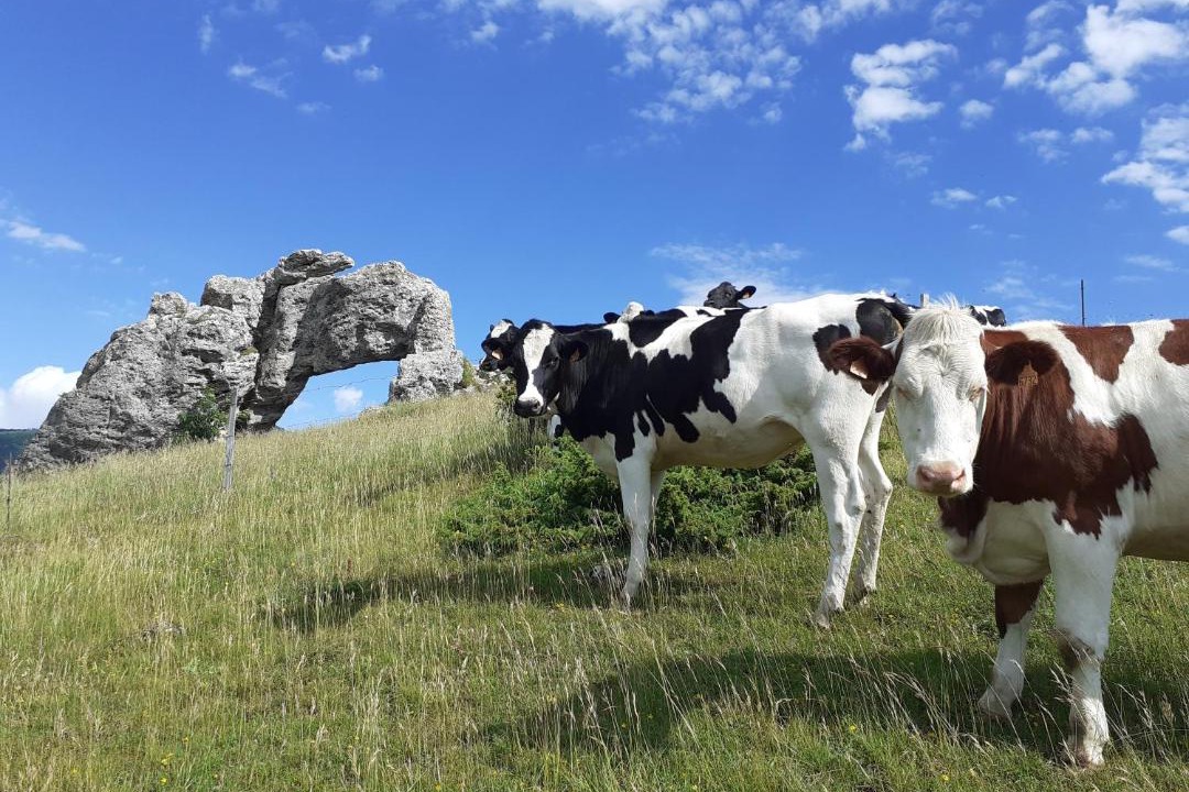 Photo of Others in Pierre-Chatel