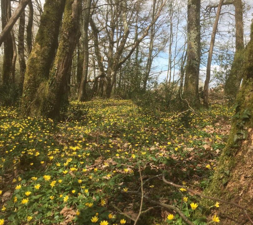 Photo of Others in Lussac-Les-Eglises