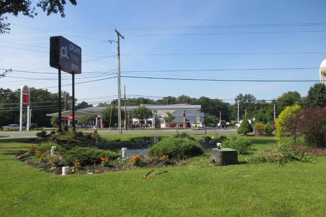 Photo of Others in Williamstown