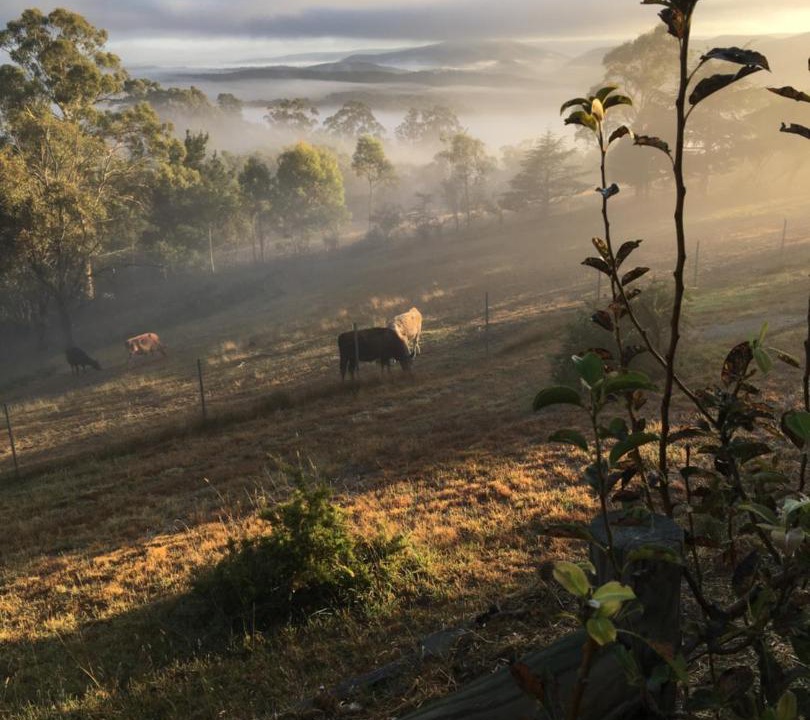 Photo of Others in Rydal