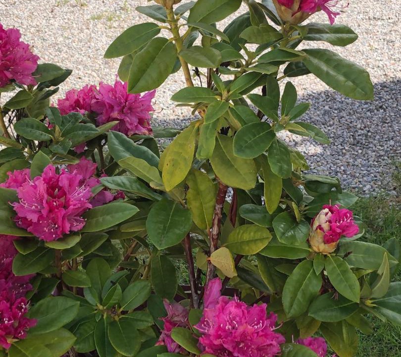 Photo of Outdoor in Soudan