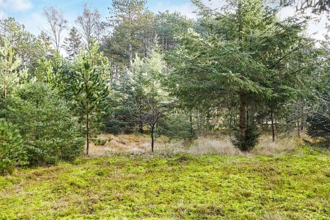 Photo of Others in Store Fuglede