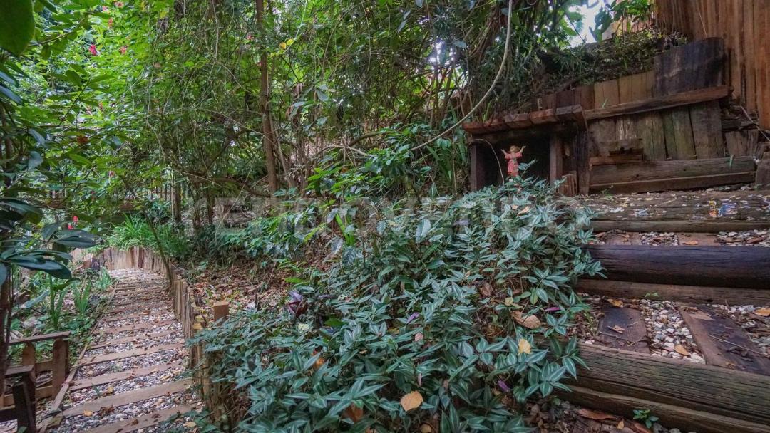 Photo of Others in La Joya