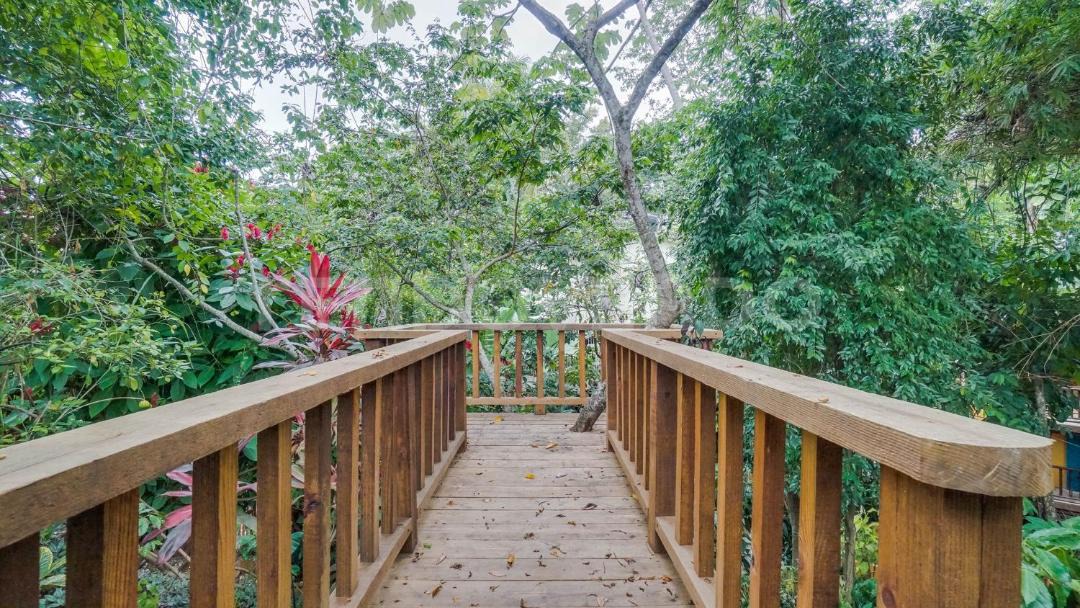 Photo of Others in La Joya