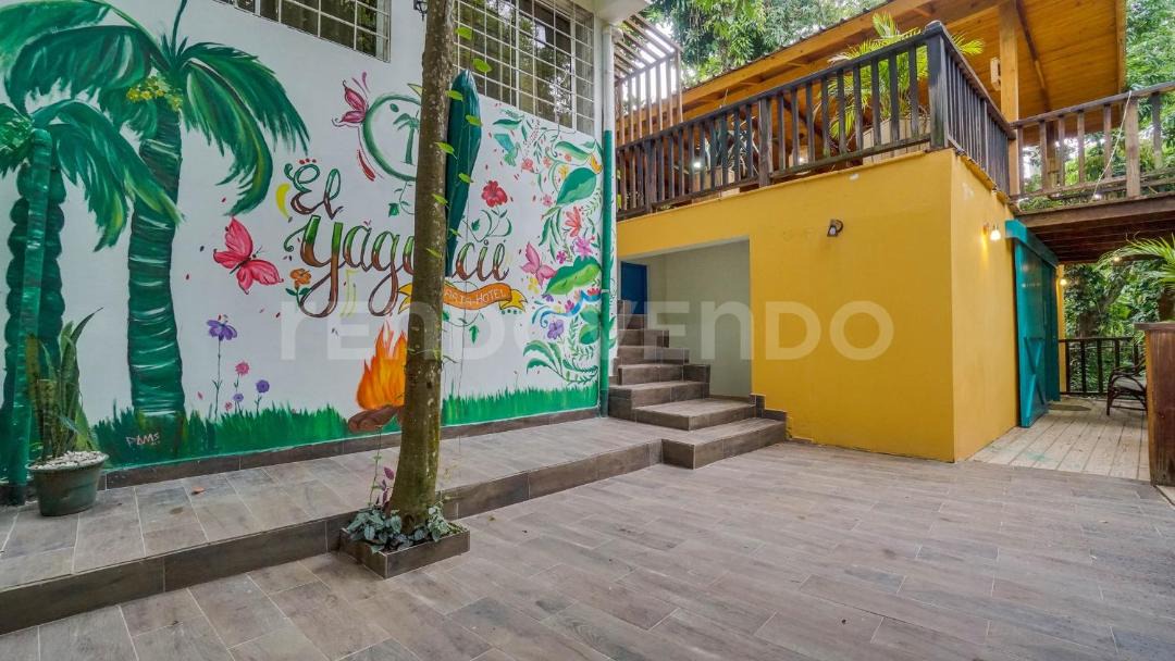 Photo of Others in La Joya